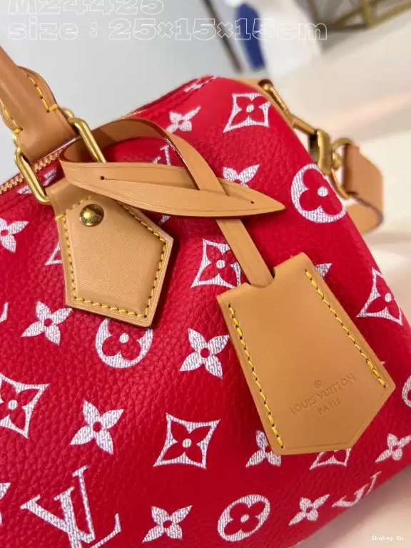 25 Vuitton Louis SPEEDY 0524